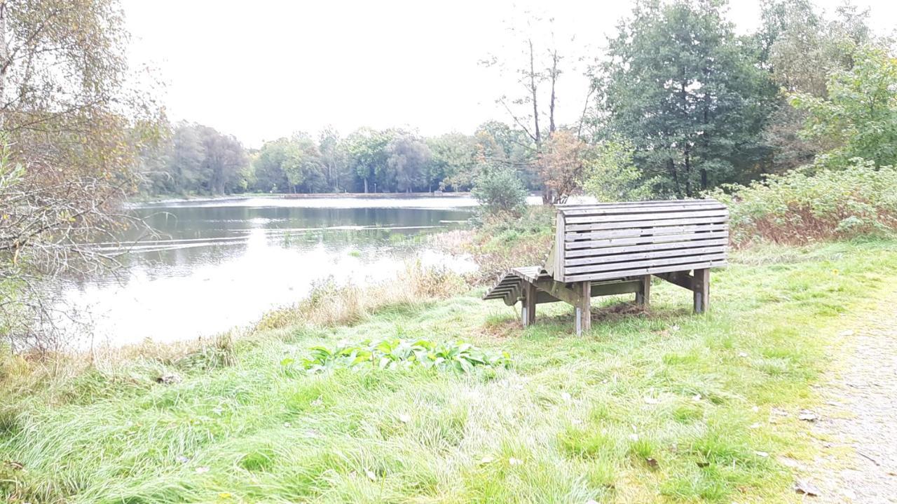 Ferienhaus Am See Lichtenberg Bayern Frankenwaldsee Luaran gambar