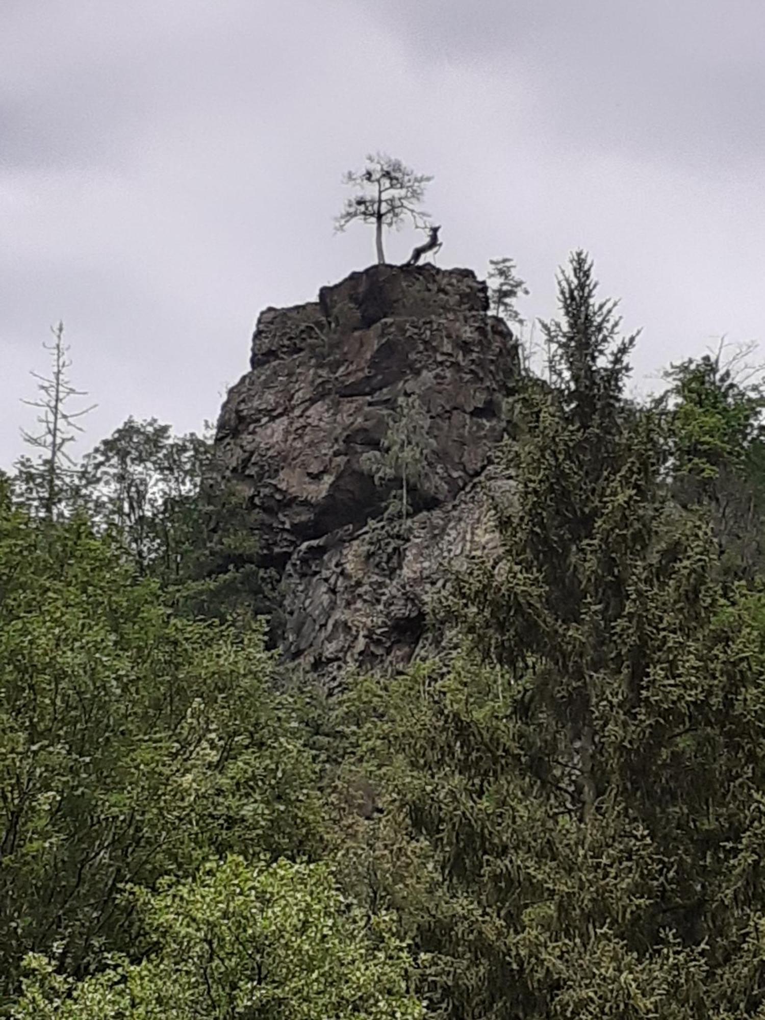Ferienhaus Am See Lichtenberg Bayern Frankenwaldsee Luaran gambar